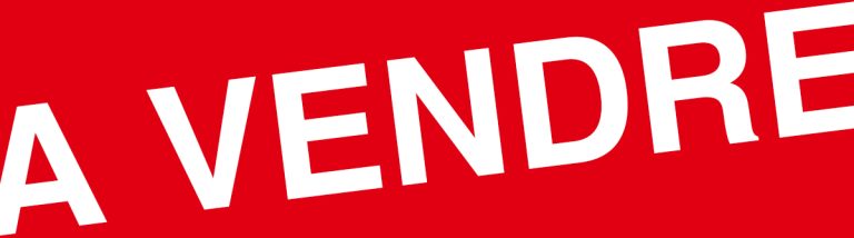 Lire la suite à propos de l’article Terrains à vendre à Fleury